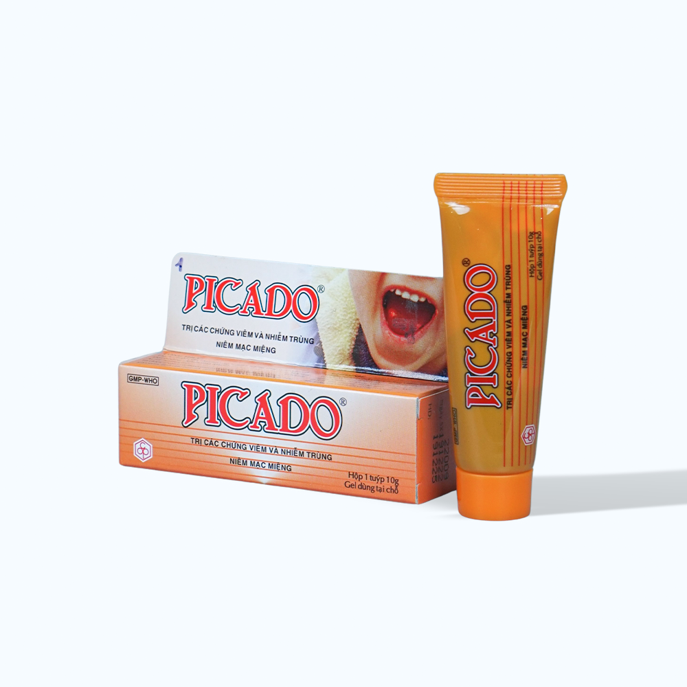 Gel Picado trị viêm và nhiễm trùng niêm mạc miệng (tuýp 10g)