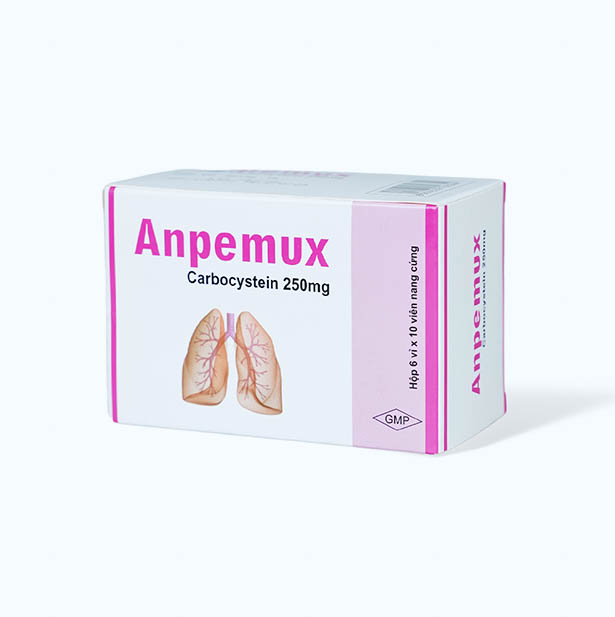 Viên nang Anpemux 250mg tiêu nhầy, loãng đàm, giảm ho (6 vỉ x 10 viên)