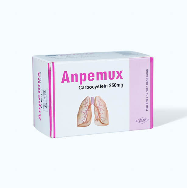 Viên nang Anpemux 250mg tiêu nhầy, loãng đàm, giảm ho (6 vỉ x 10 viên)