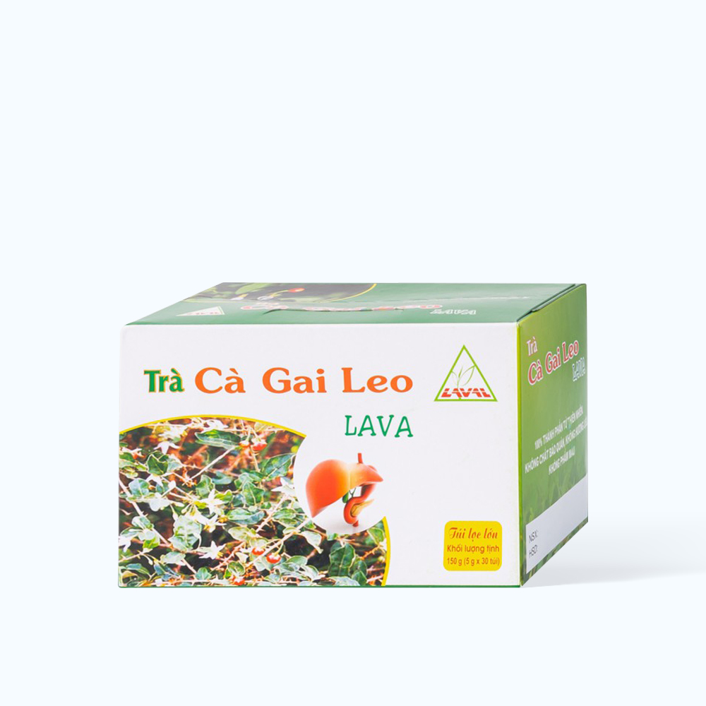 Trà LAVA cà gai leo hỗ trợ bổ gan, giải độc gan, hạ men gan (5g x 30 túi)